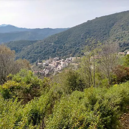 Charmante Chambre Au Coeur De La Nature Privatunterkunft Tox